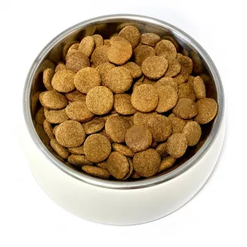 TEO linnurikas – kuiv koeratoit – 9kg