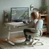 Ergo Office laste ergonoomiline kõrgusega reguleeritav laud, hall, max 100kg, ER-417 2cz