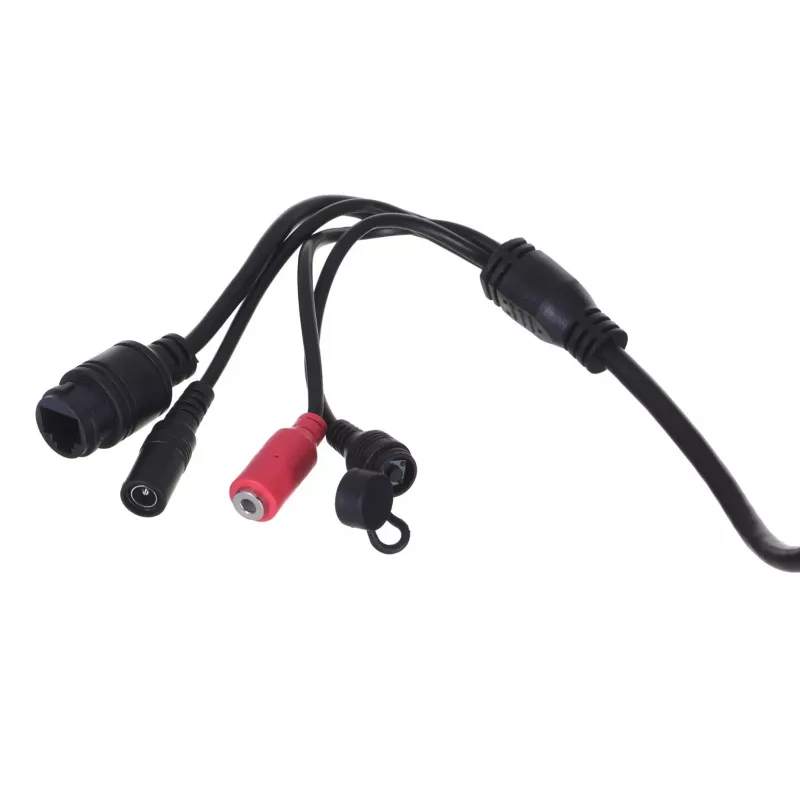 Foscam D4Z Bulb IP turvakaamera siseruumidesse ja välistingimustes 2304 x 1536 pikslit Lae