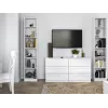 top e shop W40 PAFOS BIA vitriinkapp — valge puitlaastplaat, 290×400×2000 mm
