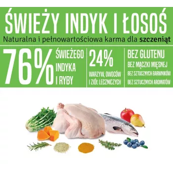 ARQUIVET Fresh Puppy Turkey and Salmon - poolniiske koeratoit - 10kg
