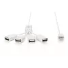 Delock USB-adapter - USB Type A (naissoost) kuni 24-kontaktiline USB-C (meessoost)