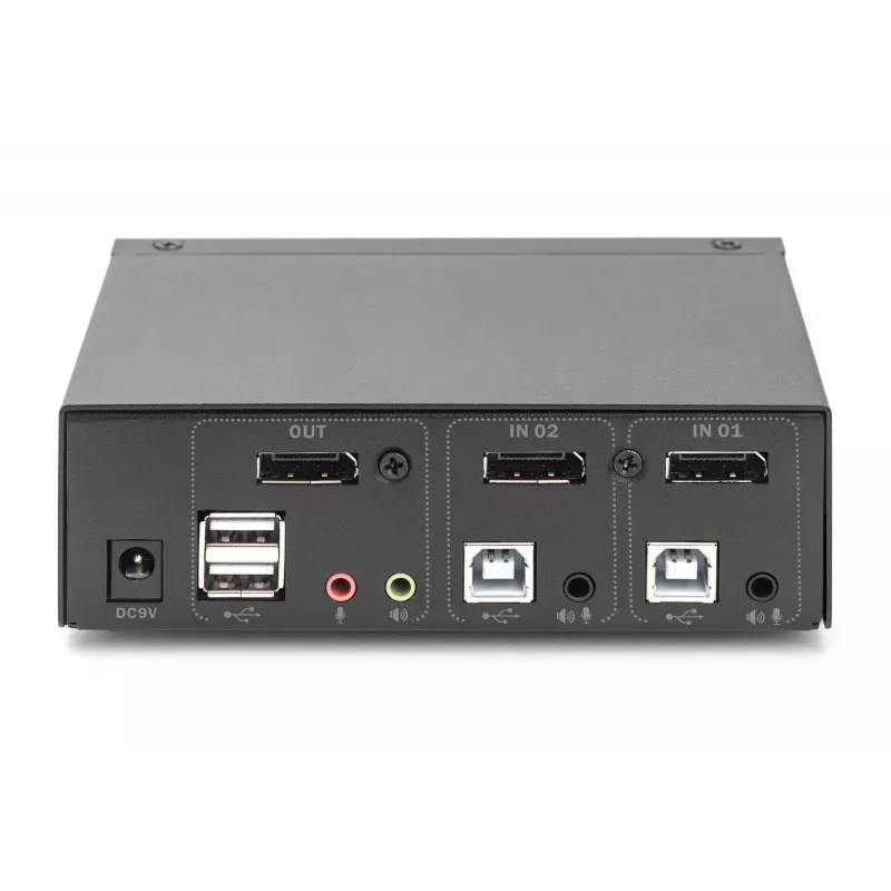 KVM-lüliti, 2x1 DS-12851