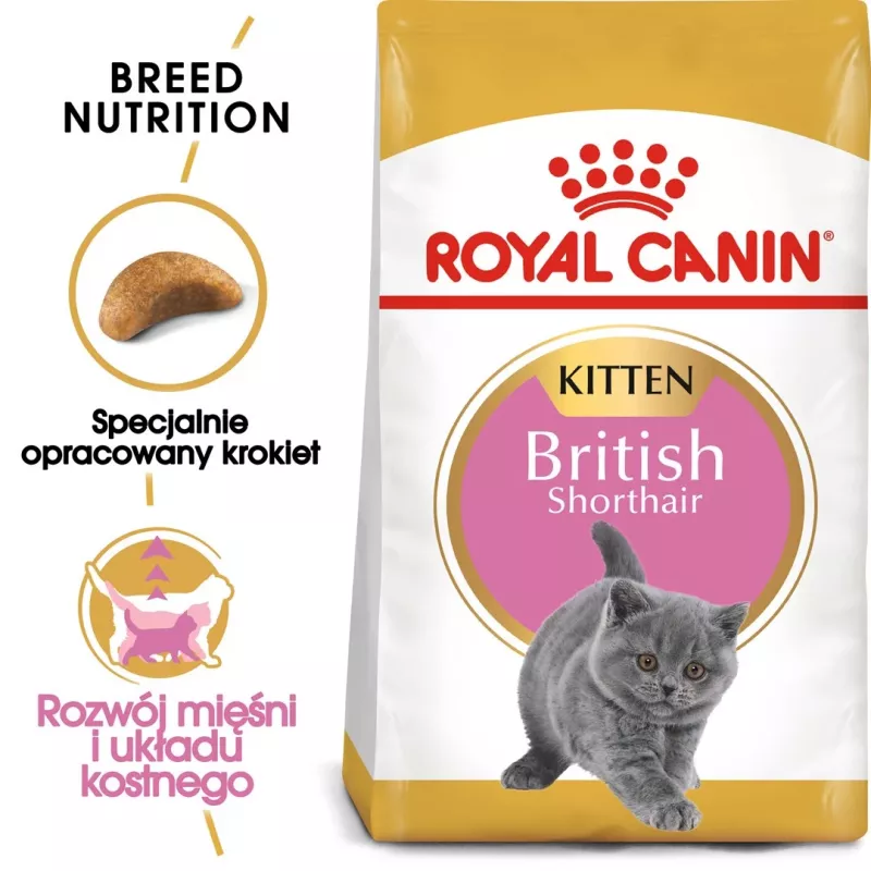 Kuiv kassitoit Royal Canin British Shorthair Kitten 2 kg – kana, 38% valku, 20% rasva, kasvuvalem