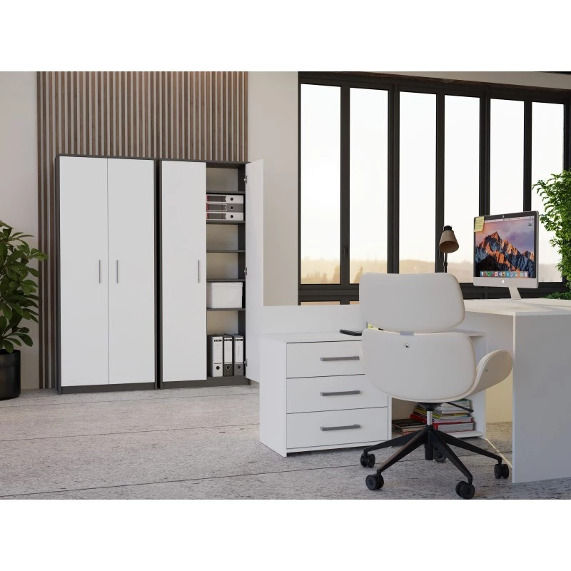OLIV 2D CLOSED SHELVING UNIT, ANTHRACITE/Valge SET