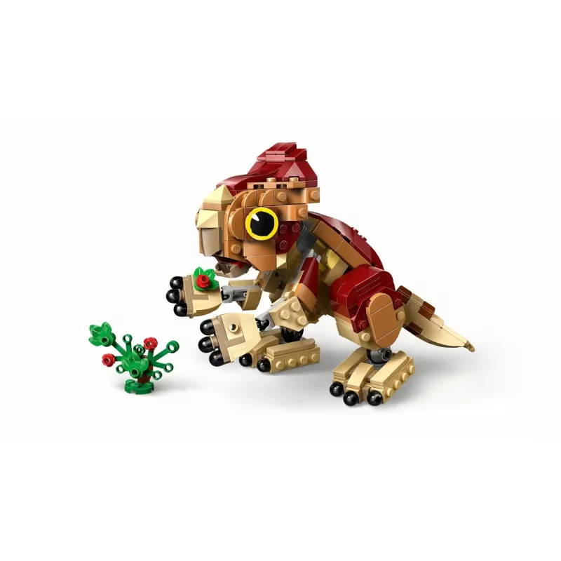 LEGO ehituskomplekt LEGO Jurassic World 76970 Beebi dinosaurus Dolores Aquilops, 339 tk, 110×150×200 mm