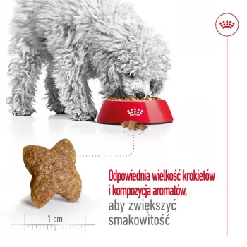 Kuiv koeratoit Royal Canin Adult Mini S 8 kg — täisväärtuslik toitumine väikestele täiskasvanud koertele