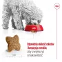 Kuiv koeratoit Royal Canin Adult Mini S 8 kg — täisväärtuslik toitumine väikestele täiskasvanud koertele
