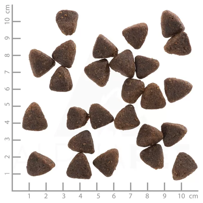 Kuiv koeratoit Wolfsblut Jack Rabbit 12,5 kg — teraviljavaba, küülikumaitseline, 28% valku, 19% rasva