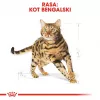 Royal Canin Bengali täiskasvanud kuiv kassitoit 10 kg — kana, 40% valku, 18% rasva