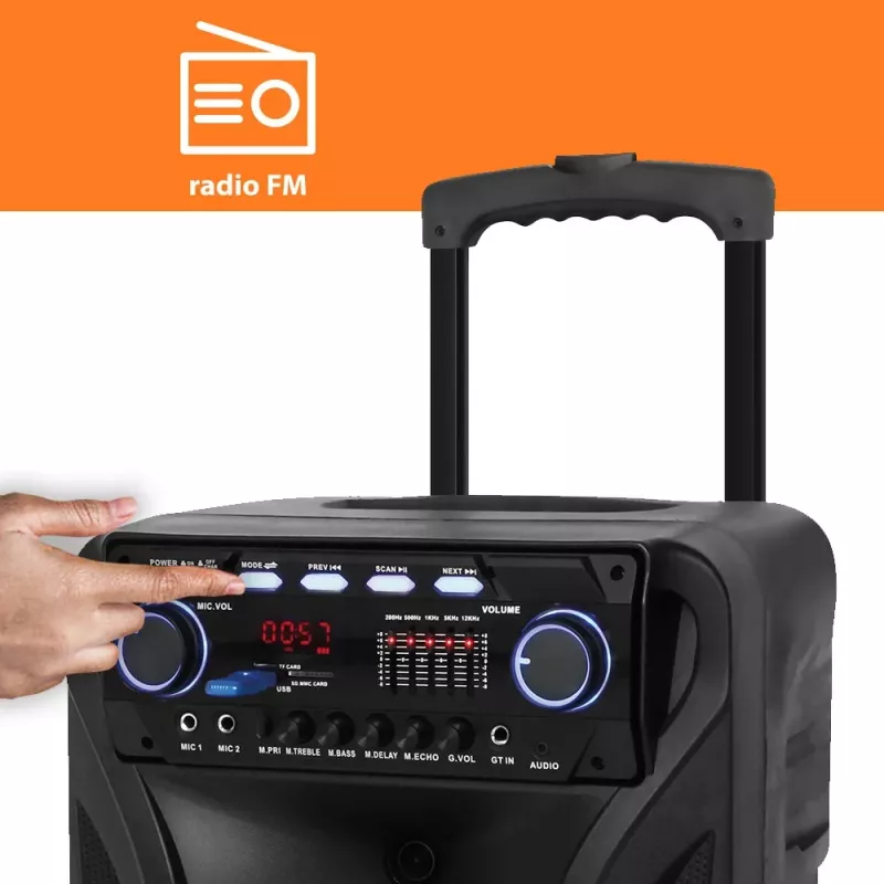 Kaasaskantav karaokekõlar MANTA SPK5021PRO 20W, 12-tolline bassikõlar, 80W RMS, Bluetooth, aku kuni 5h, SD/USB, mikrofoni- ja kitarrisisendid