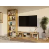 MALWA 140 TV-kapp, artisan tamm/kašmiir