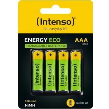 Intenso 7505114 aku