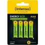 Intenso 7505114 aku