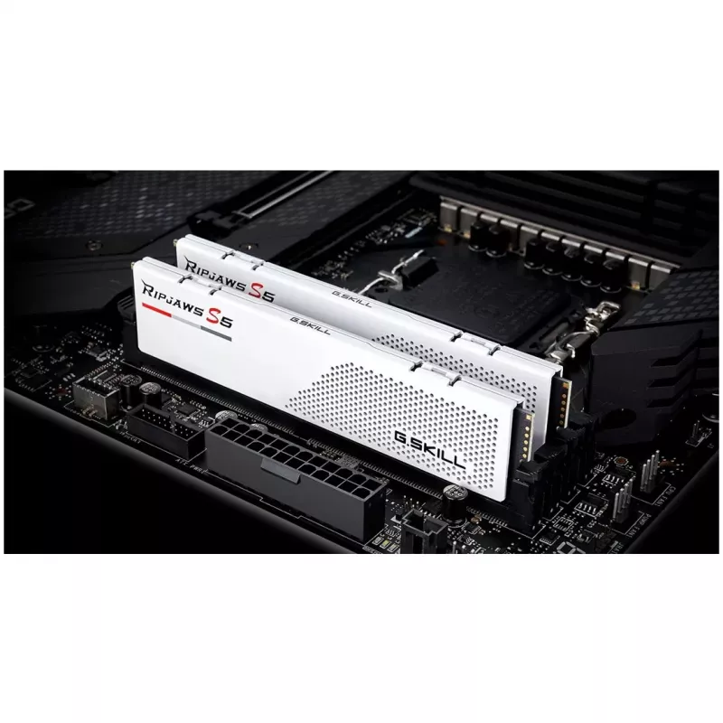 G.Skill F5-6000J3036F24GX2-RS5W mälumoodul 48 GB 2 x 24 GB DDR5 5600 MT/s