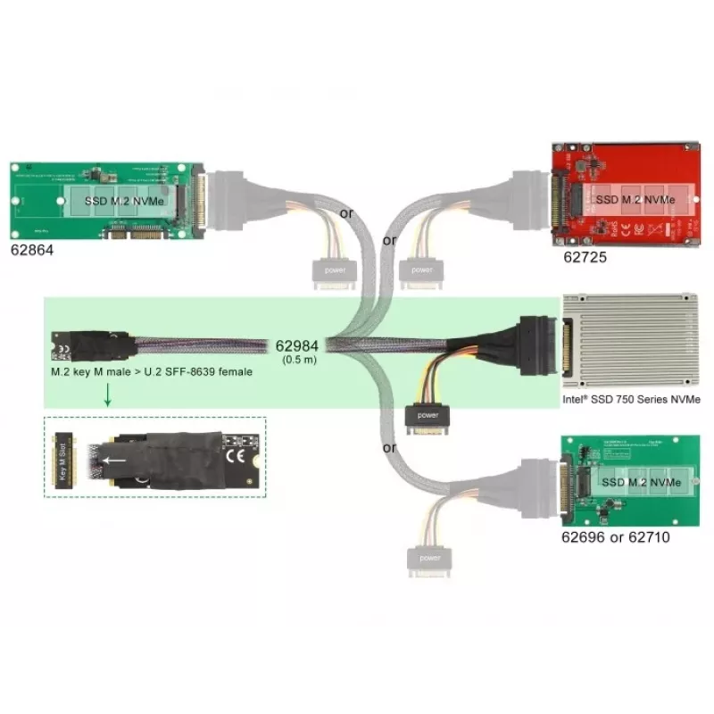 DeLOCK M.2 Key M kuni U.2 SFF-8639 NVMe adapter 50 cm kaabliga