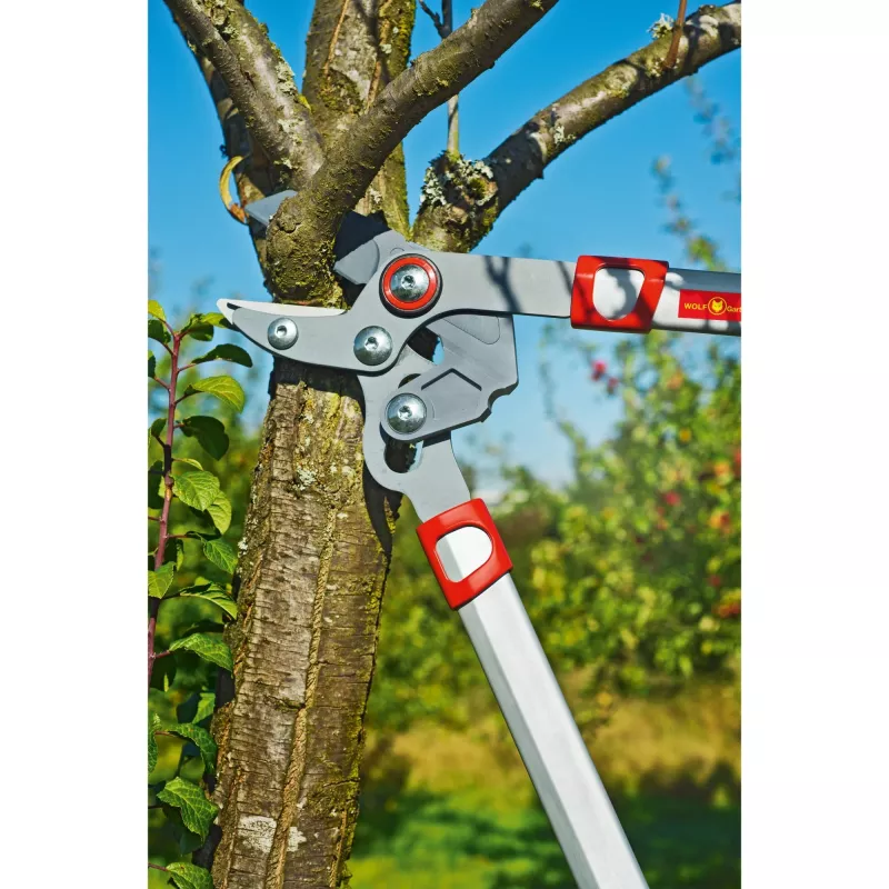 Lõikuskäärid WOLF-Garten POWER CUT RS 650 BASIC PLUS