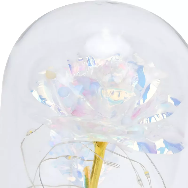 Igavene roos klaasis Extralink Home, valge LED-valgus