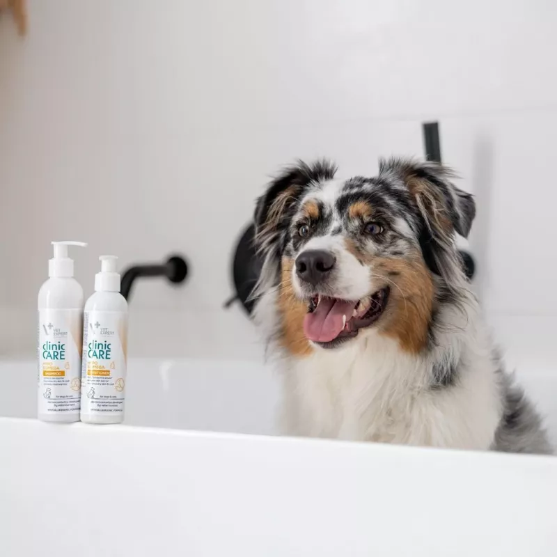 Lemmikloomašampoon VETEXPERT Clinic Care Hypo&Omega 250 ml — hüpoallergeenne niisutav šampoon oomega-rasvhapetega täiskasvanud kassidele, kõikidele karvkatte tüüpidele