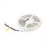 Synergy 21 LED Flex Ribal 5050 - 60 RGB DC24V + RGB-W ühe kiibiga SWW IP65