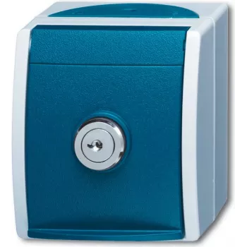BUSCH-JAEGER Schuko pistikupesa 20EWSL-101-53 ookean standardlukk 20EWSL-101-53 (2083-0-0823)