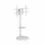 Põranda-TV-alus GEMBIRD TVS-86TR-01-W 37–86-tollistele teleritele, valge, pööratav ja kallutatav, VESA 200x200–600x400, max koormus 50 kg