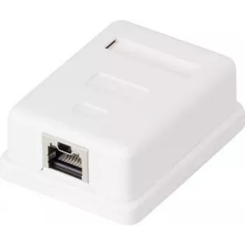 Võrgupistikupesa Renkforce CAT 6, 1 port, valge
