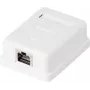 Võrgupistikupesa Renkforce CAT 6, 1 port, valge