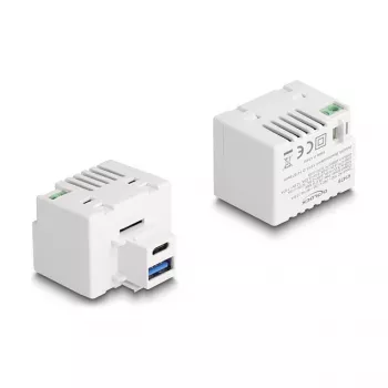 DeLOCK keystone moodul USB Type-A USB USB-C PD 20W valge