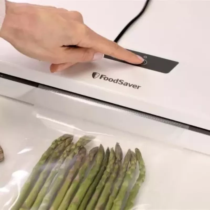FoodSaver vaakumtihendaja VS0290X
