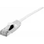 Dexlan 858748 võrgukaabel valge 10 m Cat6a S/FTP