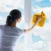 Frischer klaasipuhasti antiuimasusfunktsiooniga 1 l