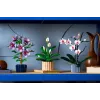 LEGO BOTANICALS 11504 Rahuliilia