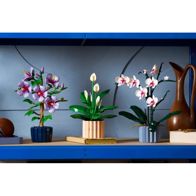 LEGO BOTANICALS 11504 Rahuliilia