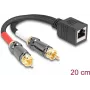 DeLOCK audiokaabel 0,2 m RJ-45 2 x RCA Must