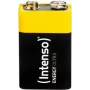Intenso 7501451 aku must