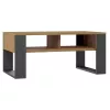 Kohvilaud top e shop Modern 90×58×50 cm, antratsiitkarkass, kunstnikutamme riiulid, matt