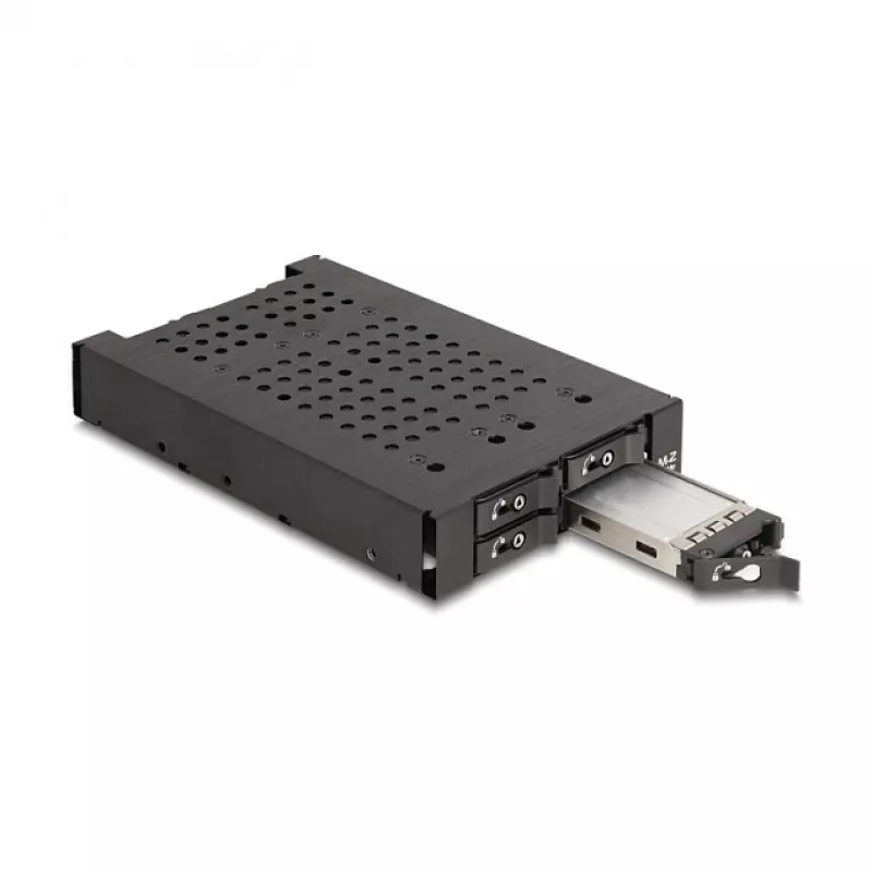 HDD puur DeLOCK 47072 Rack Ühilduv Metallist 100mm Laius