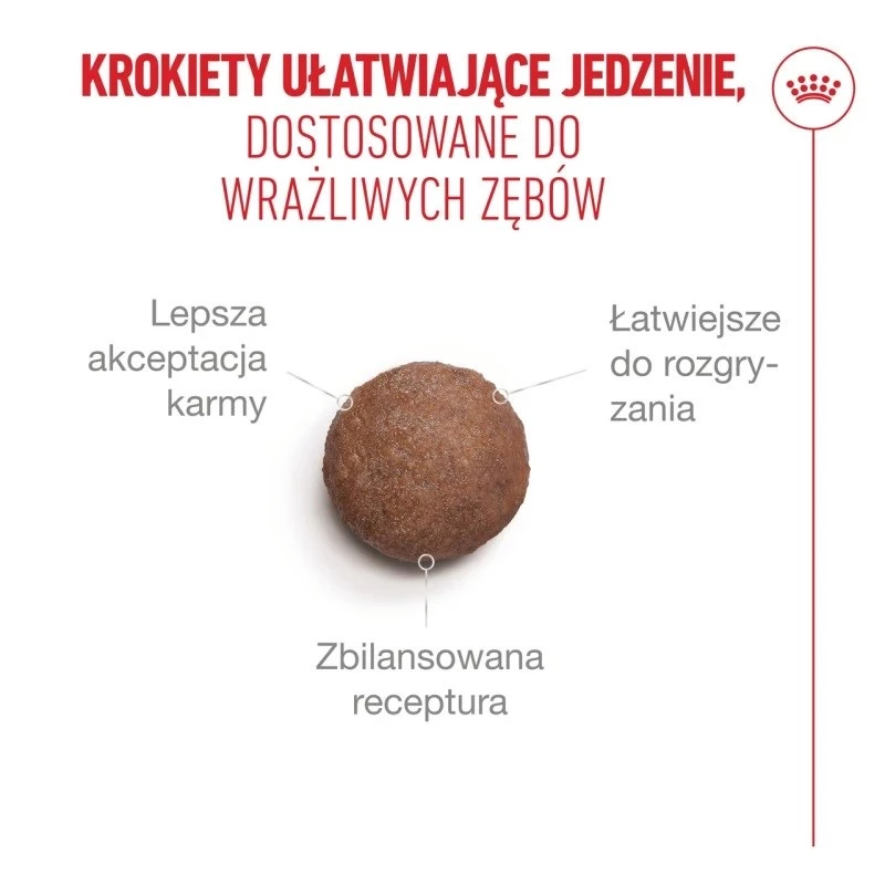 Kuiv kassitoit Royal Canin FHN Ageing 11+ 2 kg — linnuliha, 30% valku, liigeste- ja neerutoetus