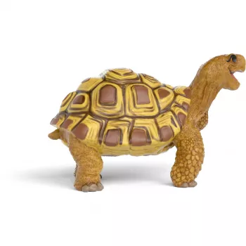 Schleich’i mängukuju Henrietta kilpkonn Maagiliste Loomade Kooli sarjast, detailne PVC-kujuke