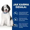 HILL'S PRESCRIPTION DIET Canine c/d Multicare kuiv koeratoit kana 12 kg