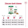 ROYAL CANIN Mini Ageing Adult +12 - kuiv koeratoit - 3,5 kg