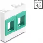 Seinale kinnitatav 45x45 mm moodulraam DELOCK Easy 2x Keystone hoidjaga valge/roheline
