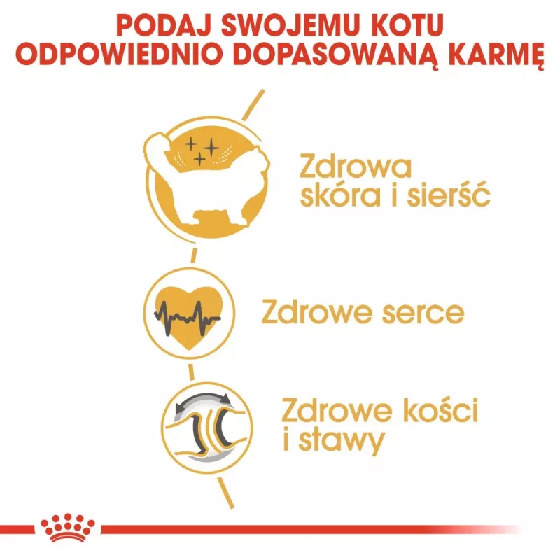 Kuiv kassitoit Royal Canin Ragdoll Adult 2 kg — kana, 32% valku, 18% rasva