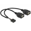 Sisemine USB-kaabel DeLOCK 83292 0,2 m emane-emanele