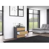 Topeshop M3 ANTRACYT/ARTISAN kummut