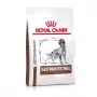 ROYAL CANIN Gastrointestinal - kuiv koeratoit - 2kg