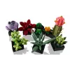 Lego Icons 10309 Sukulendid