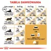 Royal Canin FBN Maine Coon Adult kuiv kassitoit, 4 kg