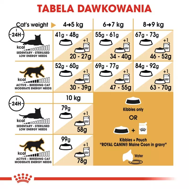 Royal Canin FBN Maine Coon Adult kuiv kassitoit, 4 kg